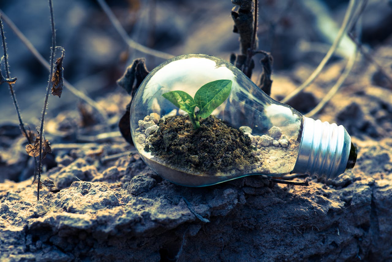 A lightbulb with it's own ecosystem inside